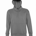 pull a capuche gris