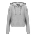 pull a capuche gris