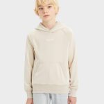 sweat a capuche ado