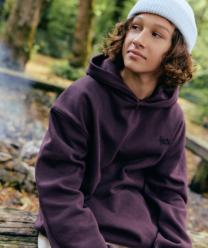 sweat-a-capuche-garcon-028kpo-1.jpg sweat a capuche garcon – Image 1