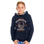 sweat a capuche garcon