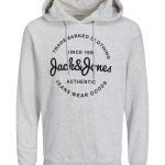 sweat capuche homme gris